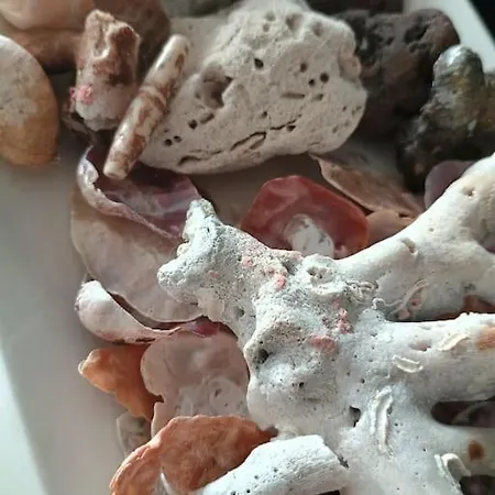 El Camarote De Beiramar Lejlighed *